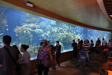 Image showing Valencia aquarium