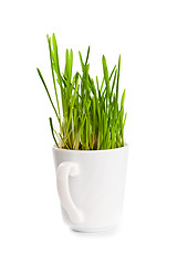 Image showing green grass in coffee cup