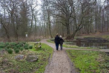 Image showing Grandmother and grandson