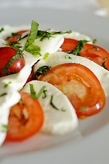 Image showing Caprese salad