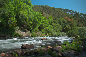 Image showing River water stream