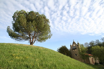 Image showing Strange tree and church