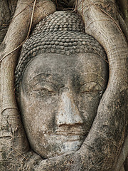 Image showing Buddha head