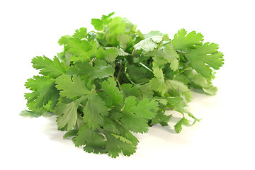 Image showing Coriander