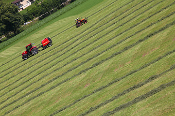 Image showing Mowing grass