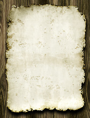 Image showing parchment
