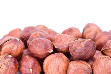 Image showing Some hazelnuts