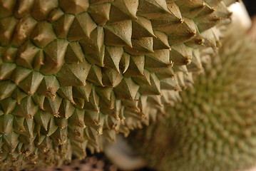 Image showing Durian