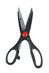 Image showing Kitchen scissors