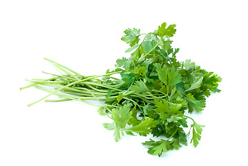 Image showing Bunch of parsley