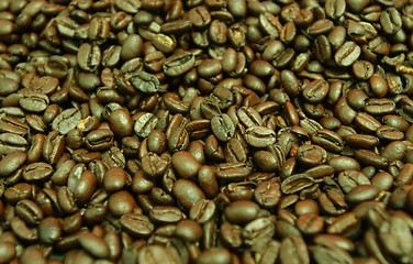 Image showing Arabica