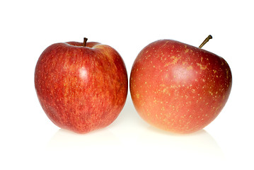 Image showing Two red apples of different breeds