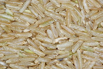 Image showing Cooking ingredients: Brown rice close-up