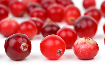 Image showing Cranberries closeup