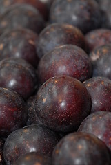 Image showing Dark plums