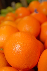 Image showing Oranges