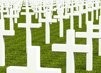 Image showing white cross grave