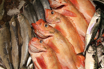 Image showing Fish market