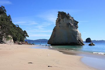 Image showing New Zealand beach