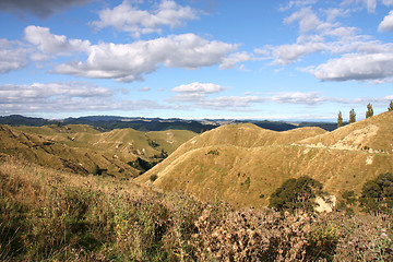 Image showing New Zealand