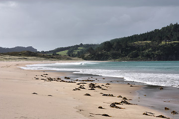 Image showing New Zealand beach