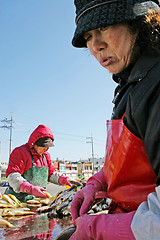 Image showing Fishing woman