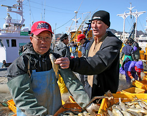 Image showing Fishermen