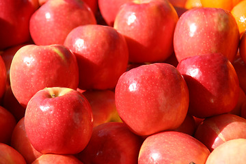 Image showing Red apples.