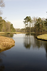 Image showing Pond on a Golf Course