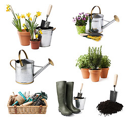 Image showing Gardening