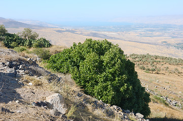 Image showing South shore of Lake Kinneret