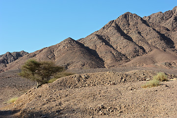 Image showing Timna National Park