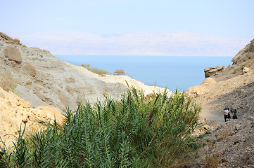 Image showing Ein Gedi Nature Reserve