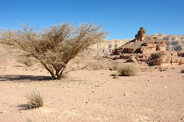 Image showing Timna National Park