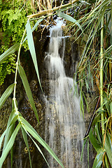 Image showing one of the waterfalls in Ein Gedi Nature Reserve