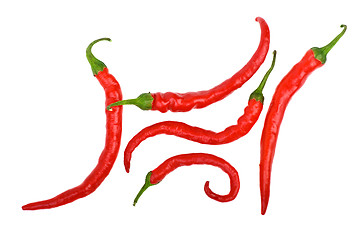 Image showing Red long curved chili peppers