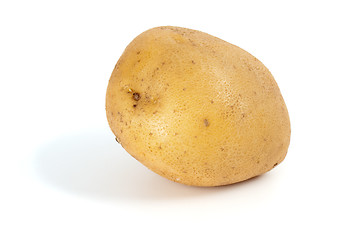 Image showing Single potato