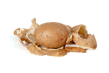 Image showing Whole potato and some peel