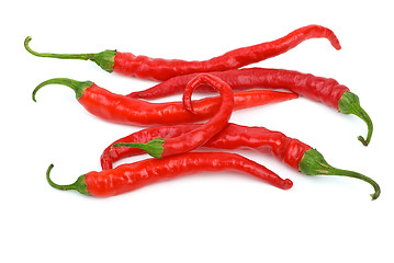 Image showing Some long curved red chili peppers