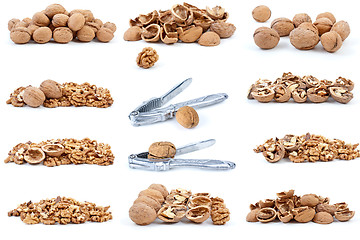 Image showing Set of walnuts