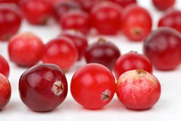 Image showing Cranberries