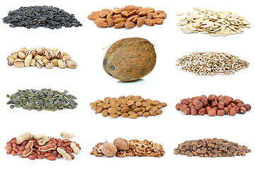 Image showing Set of different nuts