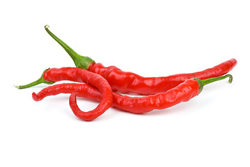 Image showing Three long curved red hot chili peppers