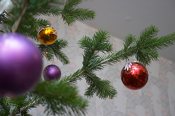 Image showing Christmas decorations