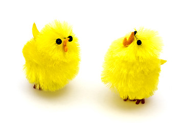 Image showing Yellow chickens