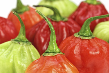 Image showing pepper closeup