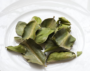 Image showing Dried Kaffir Lime Leaves (Citrus hystrix)