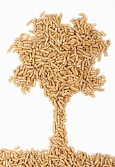 Image showing pellet wood tree