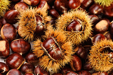 Image showing chestnut background