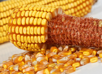Image showing corncob background